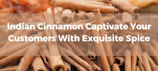 indian-cinnamon-captivate-your-customers-with-exquisite-spice