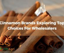 cinnamon-brands-exploring-top-choices-for-wholesalers